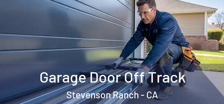  Garage Door Off Track Stevenson Ranch - CA