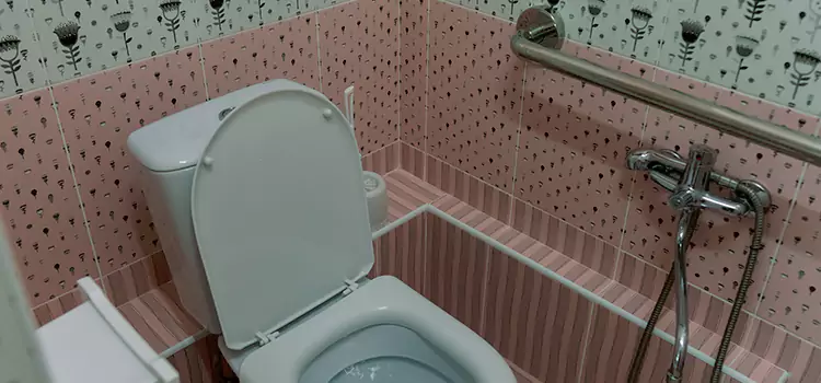 Meeting Diverse Needs With Accessible Restroom Solutions in Stevenson Ranch, CA