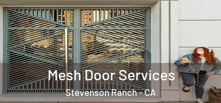  Mesh Door Services Stevenson Ranch - CA